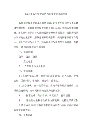 2022年某小学少先队大队委干部竞选方案.docx