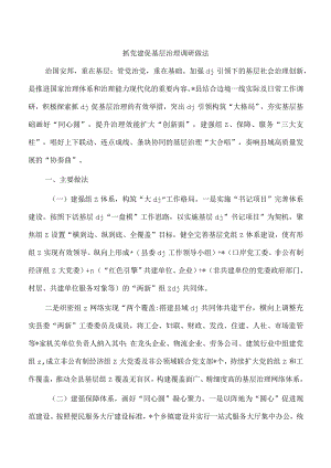 抓党建促基层治理调研做法.docx