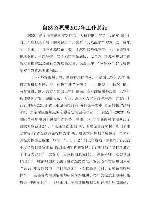 自然资源局2023年工作总结.docx