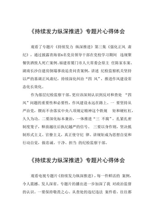 十四篇纪检干部观看电视专题片《持续发力 纵深推进》心得体会.docx