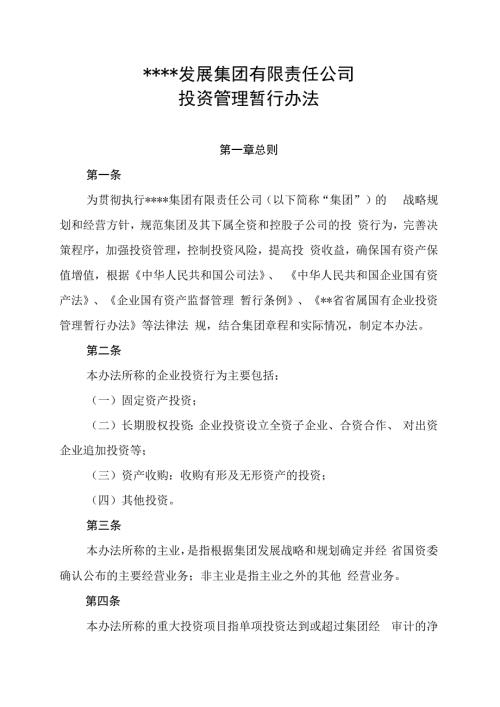 某公司投资管理暂行办法.docx