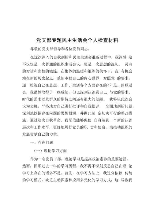 党支部专题民主生活会个人检查材料.docx