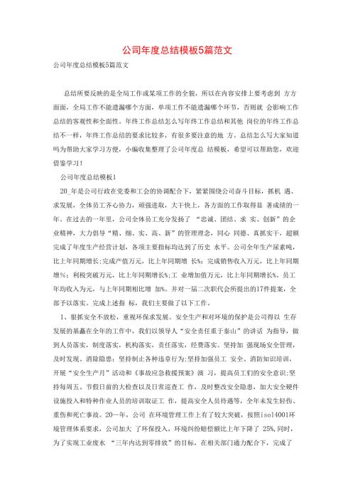 公司年度总结模板5篇范文.docx