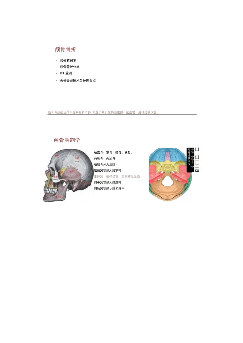 （PPT资源）颅骨骨折 护理辅导课件.docx_第1页