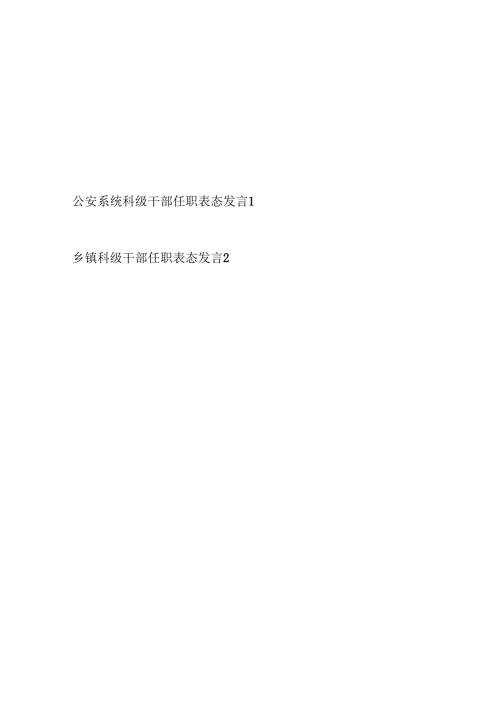 公安系统乡镇科级干部任职表态发言共2篇.docx
