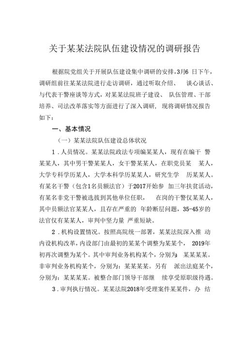 关于某某法院队伍建设情况的调研报告.docx